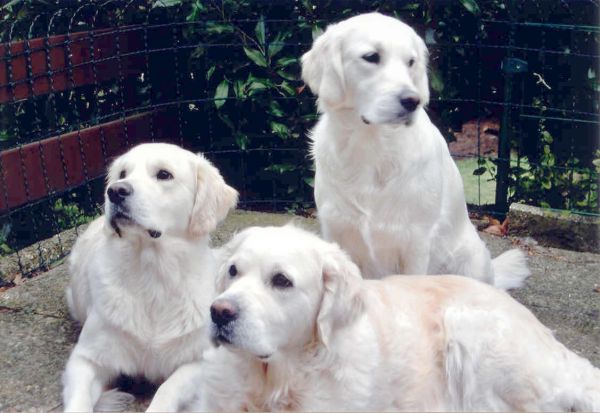 Ashley, Amy und Cindy im Dezember 2004